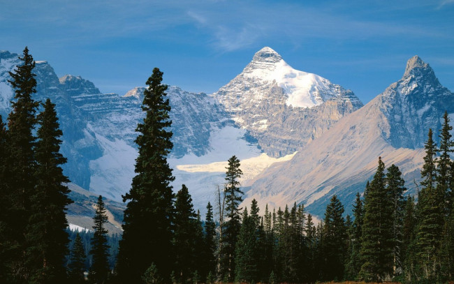 Обои картинки фото природа