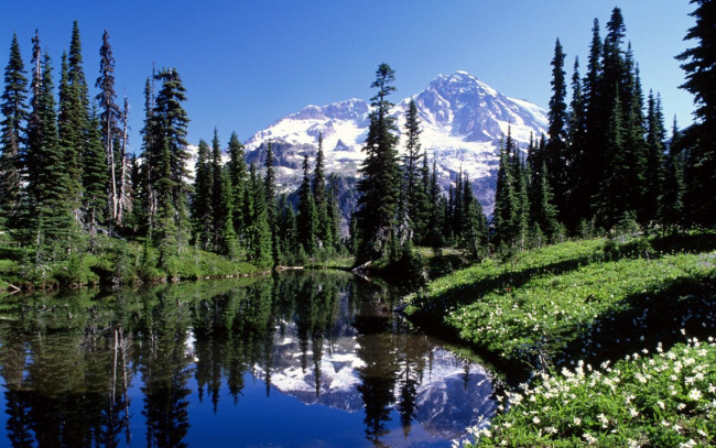 Обои картинки фото природа