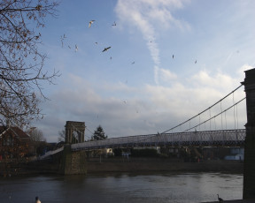 Картинка города мосты