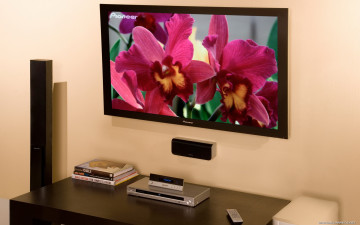 обоя бренды, pioneer