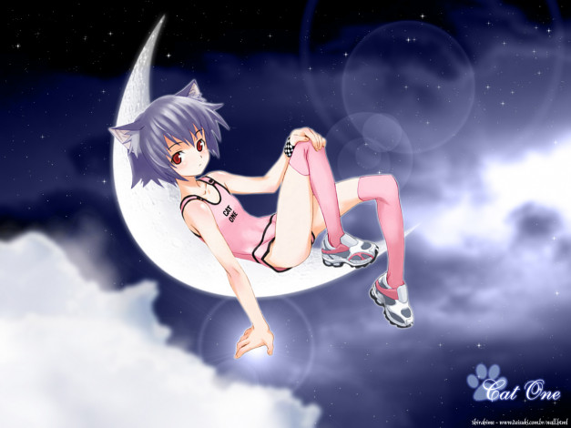 Обои картинки фото аниме, animals