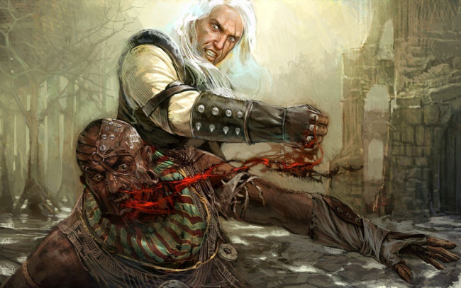 Обои картинки фото the, witcher, видео, игры