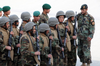 Картинка оружие армия спецназ эротика модель блондинка liz ashley soldiers army