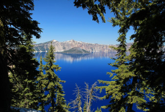 Картинка природа реки озера вода горы ели