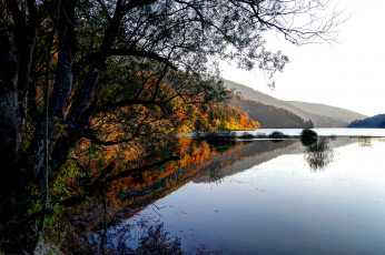 Картинка австрия природа реки озера река берег