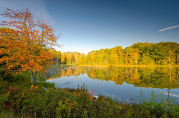 Картинка природа реки озера пейзаж сша