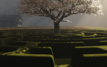 Картинка 3д графика nature landscape природа дерево лабиринт