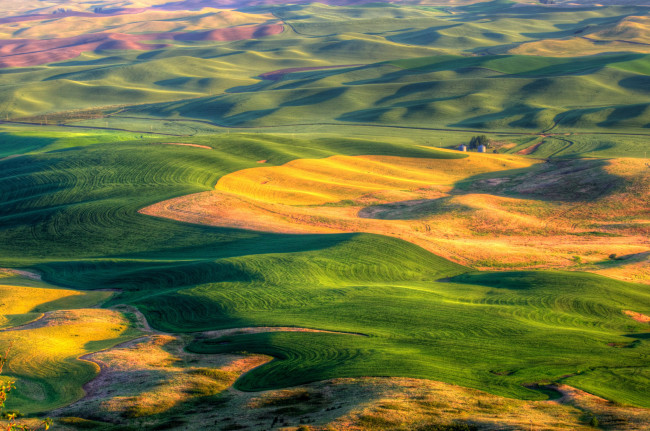 Обои картинки фото природа, поля, сша, штат, вашингтон, ландшафт