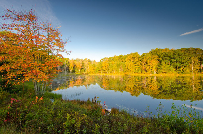 Обои картинки фото природа, реки, озера, пейзаж, сша