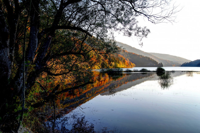 Обои картинки фото австрия, природа, реки, озера, река, берег