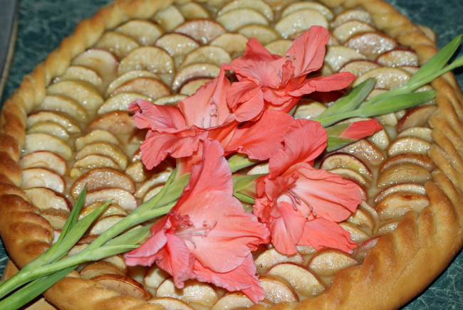 Обои картинки фото цветы, гладиолусы, гладиолус