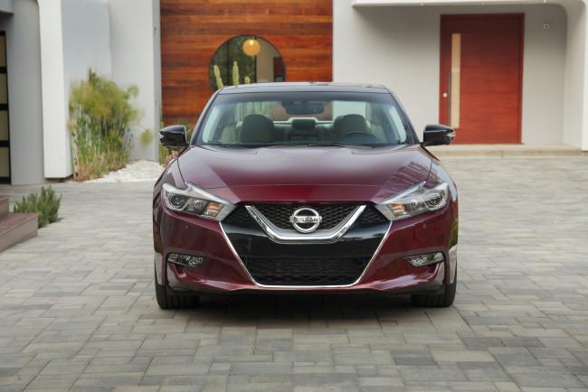 Обои картинки фото автомобили, nissan, datsun, 2016г, красный, maxima