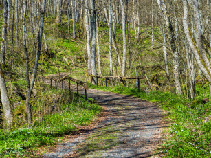 Картинка природа дороги тропа