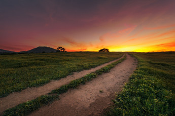 Картинка природа дороги рассвет