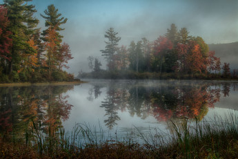 Картинка природа реки озера река лес