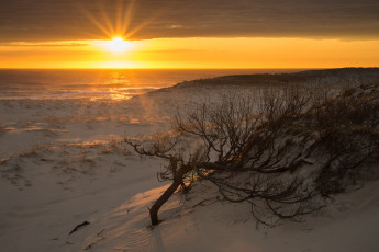 Картинка природа восходы закаты рассвет