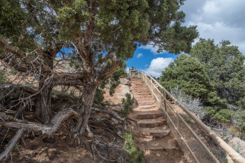 Картинка природа дороги ступеньки