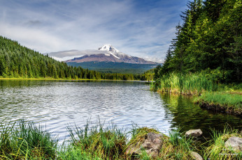 Картинка природа реки озера река лес