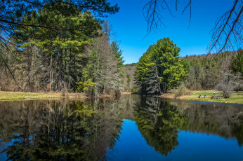 Картинка природа реки озера река лес