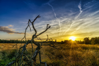 Картинка природа восходы закаты рассвет