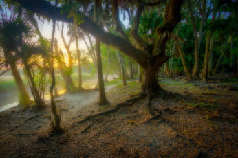 Картинка природа восходы закаты рассвет