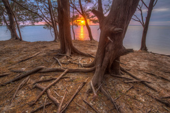 Картинка природа восходы закаты рассвет