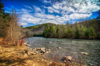 Картинка природа реки озера лес река