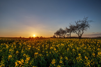 Картинка природа восходы закаты рассвет