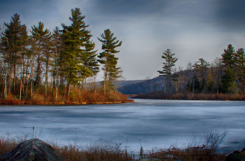 Картинка природа реки озера лес река