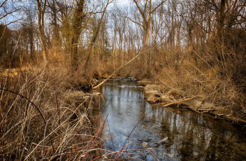 Картинка природа реки озера лес река