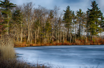 Картинка природа реки озера река лес