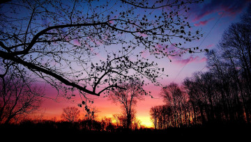 Картинка природа восходы закаты рассвет