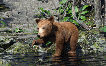 Картинка 3д+графика животные+ animals медвежонок