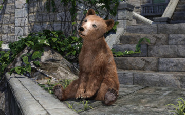 Картинка 3д+графика животные+ animals медвежонок