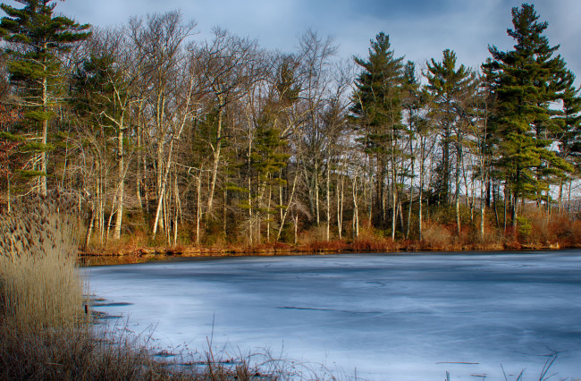 Обои картинки фото природа, реки, озера, река, лес