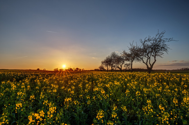 Обои картинки фото природа, восходы, закаты, рассвет