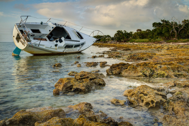 Обои картинки фото корабли, Яхты, отлив