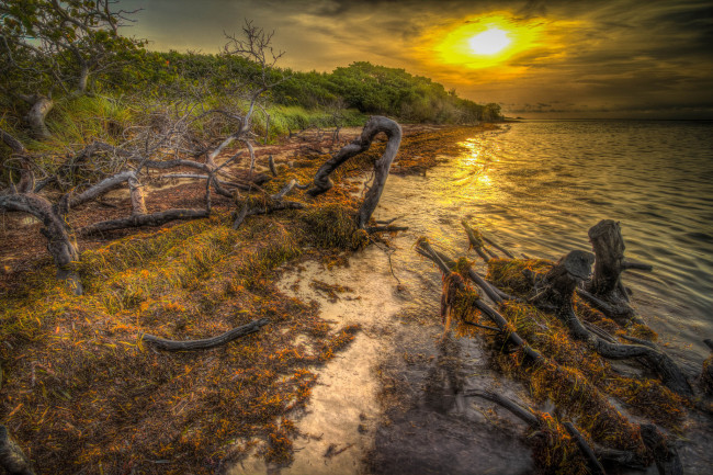 Обои картинки фото природа, восходы, закаты, рассвет