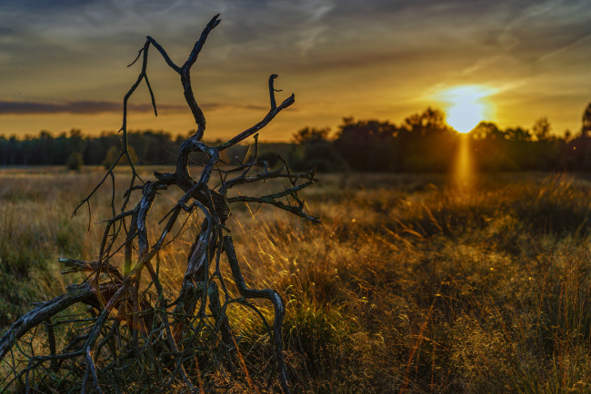 Обои картинки фото природа, восходы, закаты, рассвет