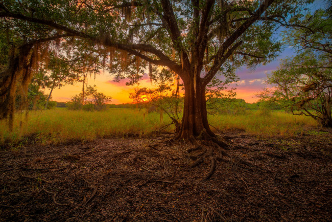 Обои картинки фото природа, восходы, закаты, рассвет