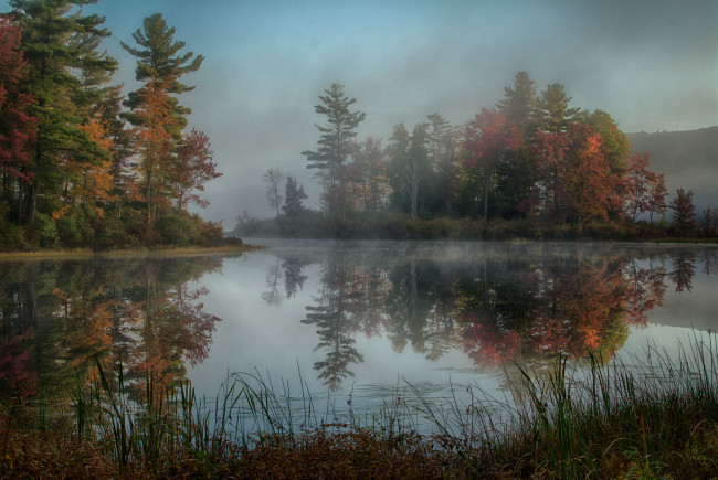 Обои картинки фото природа, реки, озера, река, лес