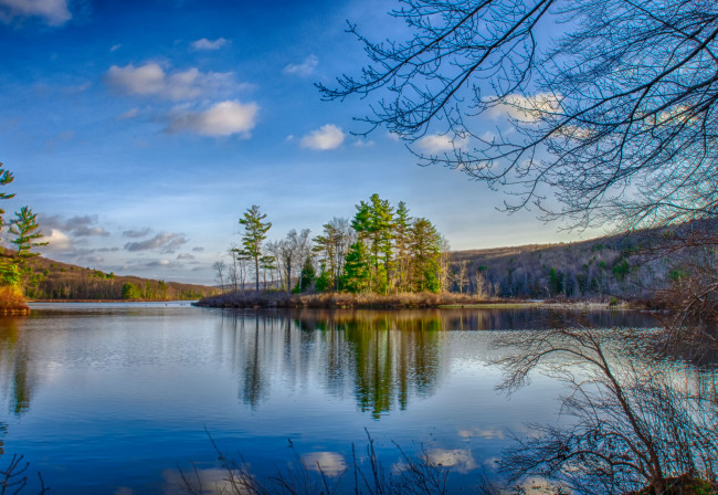 Обои картинки фото природа, реки, озера, лес, река