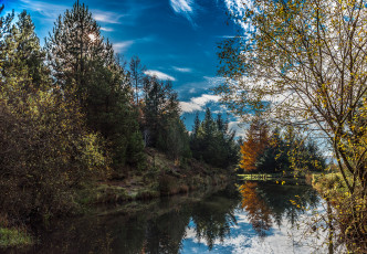 Картинка природа реки озера река лес