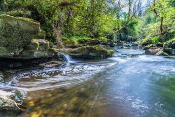 Картинка природа реки озера лес река