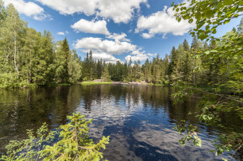 Картинка природа реки озера лес река