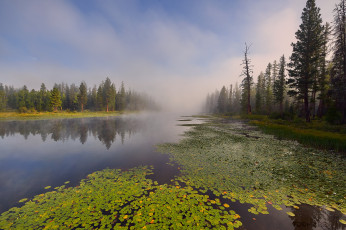 Картинка природа реки озера река лес