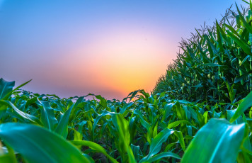 Картинка природа восходы закаты рассвет