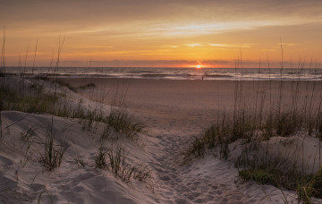 Картинка природа побережье берег море