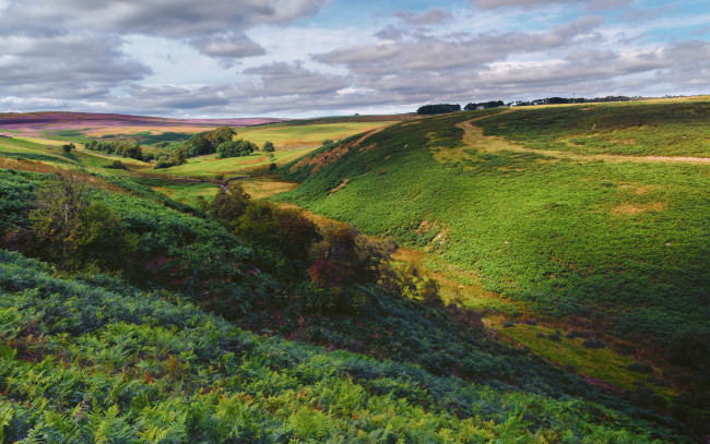 Обои картинки фото природа, пейзажи, простор