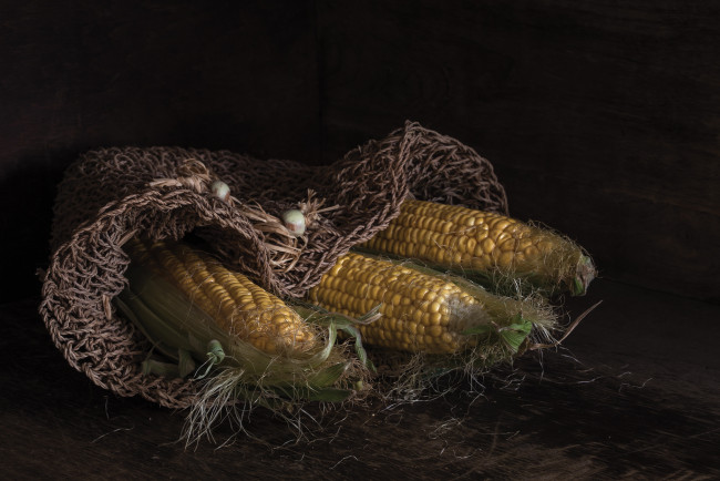 Обои картинки фото еда, кукуруза, початки